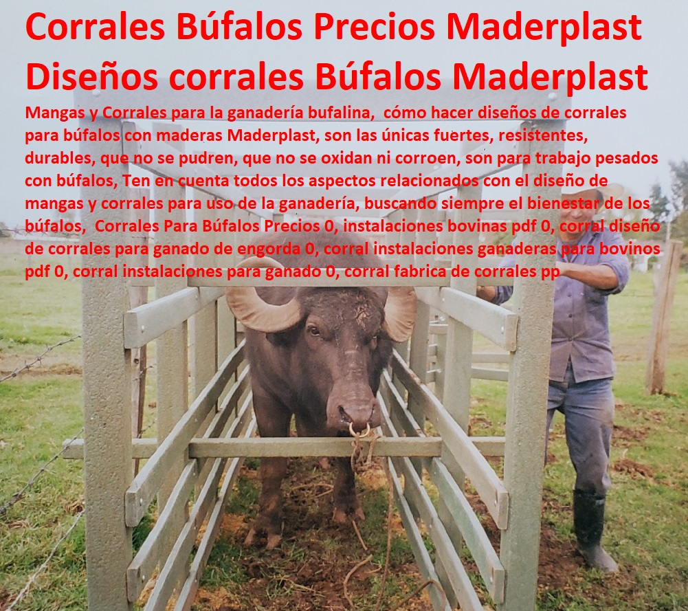 Corrales Para Búfalos Precios 0, instalaciones bovinas pdf 0, corral diseño de corrales para ganado de engorda 0, corral instalaciones ganaderas para bovinos pdf 0, corral instalaciones para ganado 0, Mangas De Coleo, Corral Caballerizas, Pesebreras De Caballos, Plaza Toros, Brete Ganadero, Apretaderos Embarcaderos, Postes Tablas, Polines Varetas, Horcones Madera Plástica, Corrales, Establos De Ganado, corral fabrica de corrales pp Corrales Para Búfalos Precios 0, instalaciones bovinas pdf 0, corral diseño de corrales para ganado de engorda 0, corral instalaciones ganaderas para bovinos pdf 0, corral instalaciones para ganado 0, corral fabrica de corrales pp